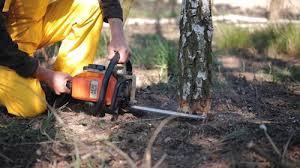 Best Commercial Tree Services  in Mckinleyville, CA