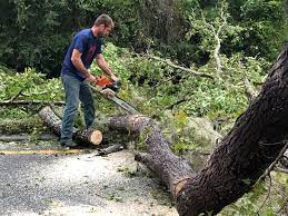 Best Lot and Land Clearing  in Mckinleyville, CA